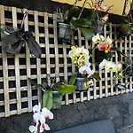 Varandas Da Graca With Private Terrace *