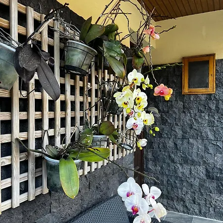 Varandas Da Graca Spacious 3 Bedroom Apartment With Private Terrace Apartment